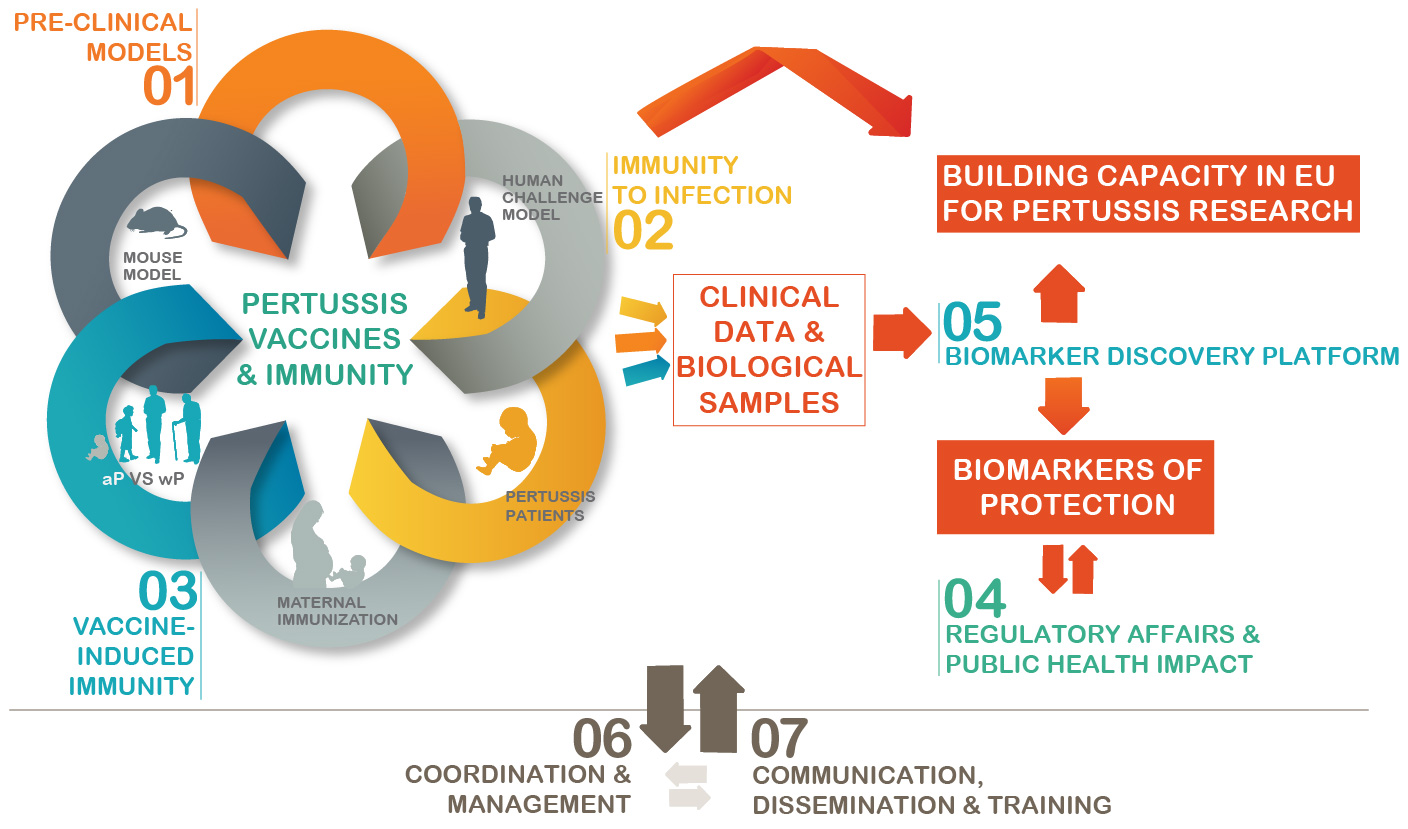 Concept of PERISCOPE Infographic